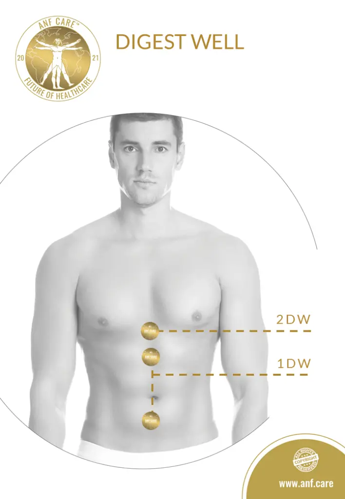 4.B2C.DIGEST WELL print.webp