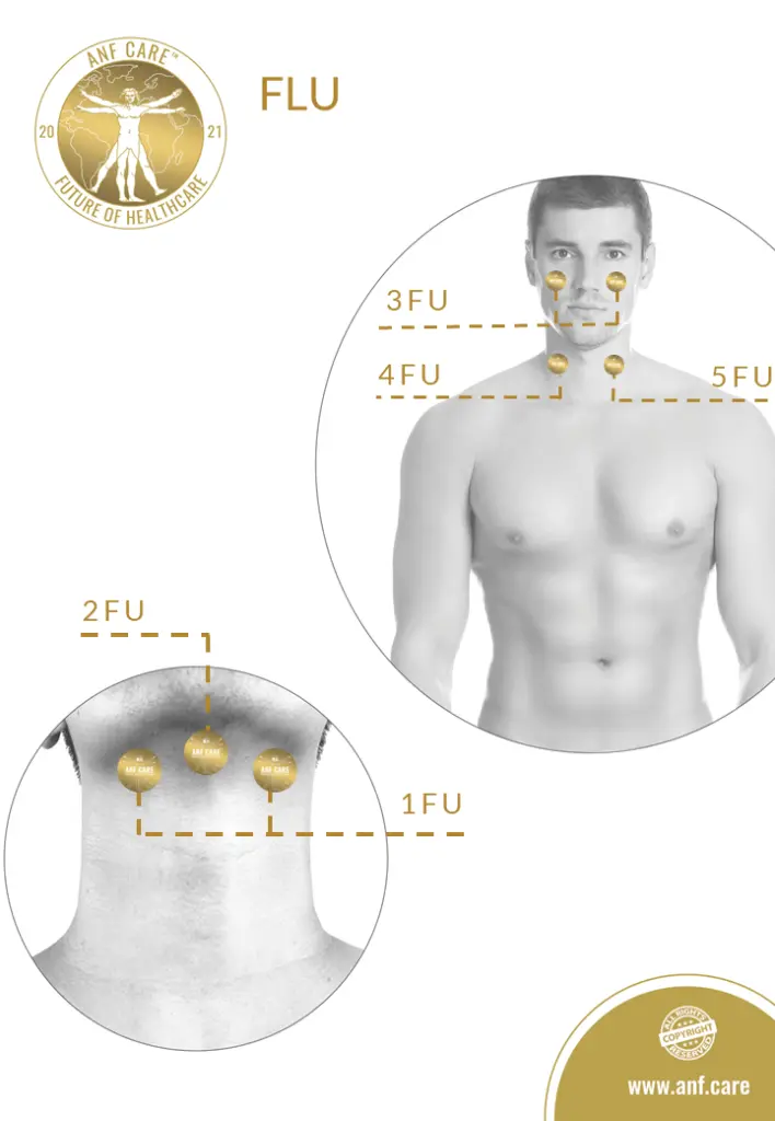 8.B2C.FLU.webp