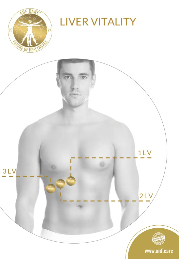 14.B2C.LIVER VITALITY.webp