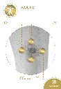 13.B2C.WOUND.webp