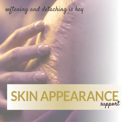 [S12] Skin Appearance Support
